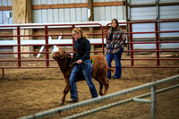 Brooke - Fairfield County Fair